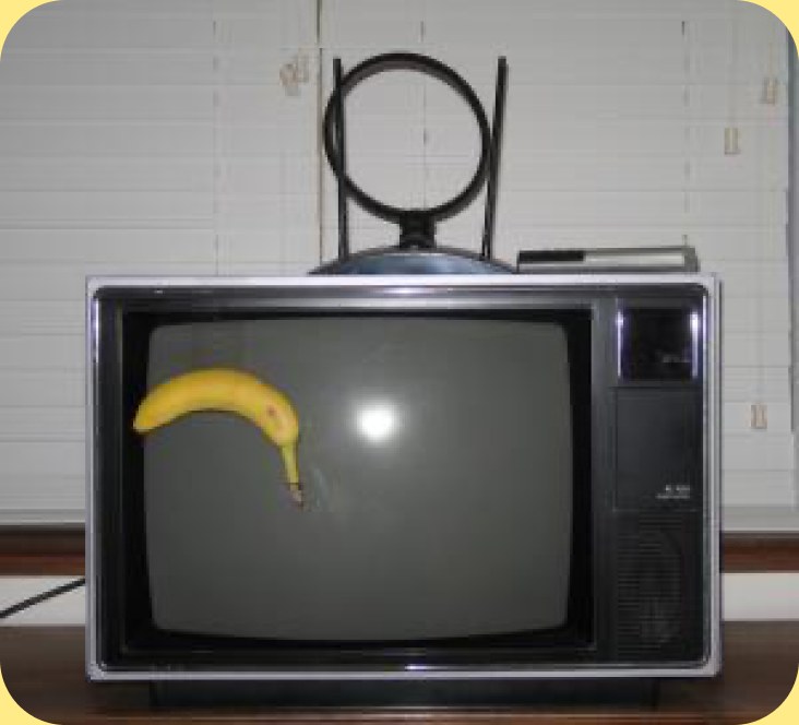 A banana held against a CRT television screen, the 2005 'banana for scale' photo